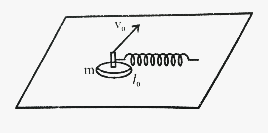 Circle, Transparent Clipart