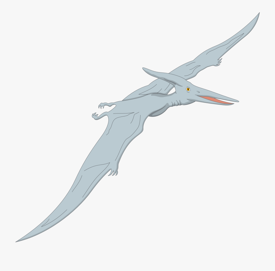 Pterodactyl Kids, Transparent Clipart