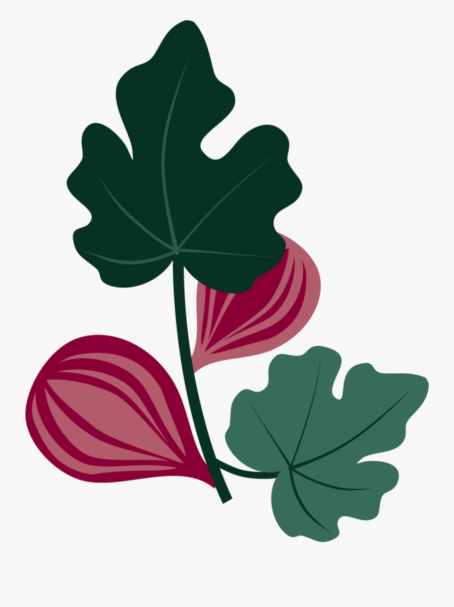 Branch, Transparent Clipart