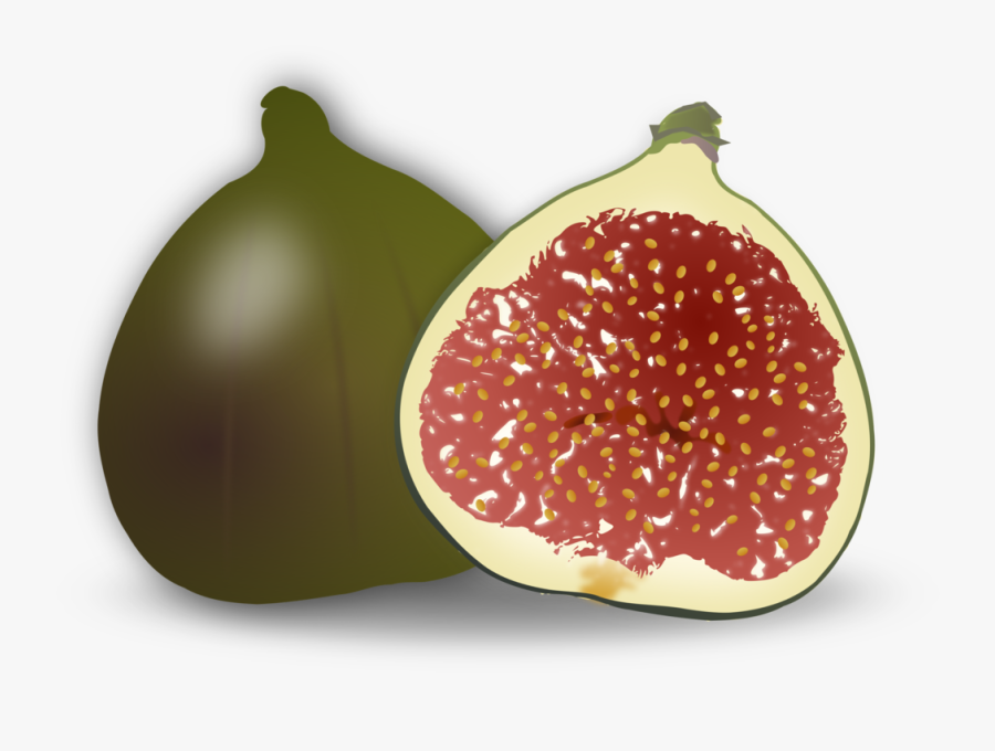 Fruit - Fig Clipart, Transparent Clipart