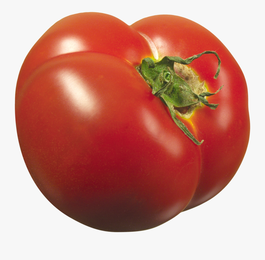 Tomato Flashcard, Transparent Clipart