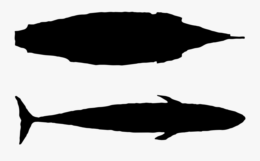 Viewing Svg Whale - Whale, Transparent Clipart