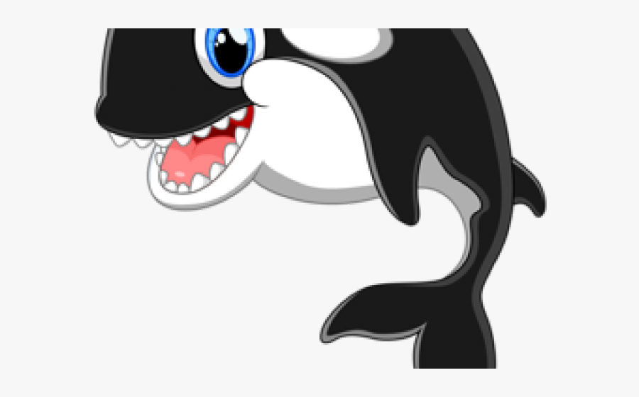 Killer Whale Cartoon, Transparent Clipart