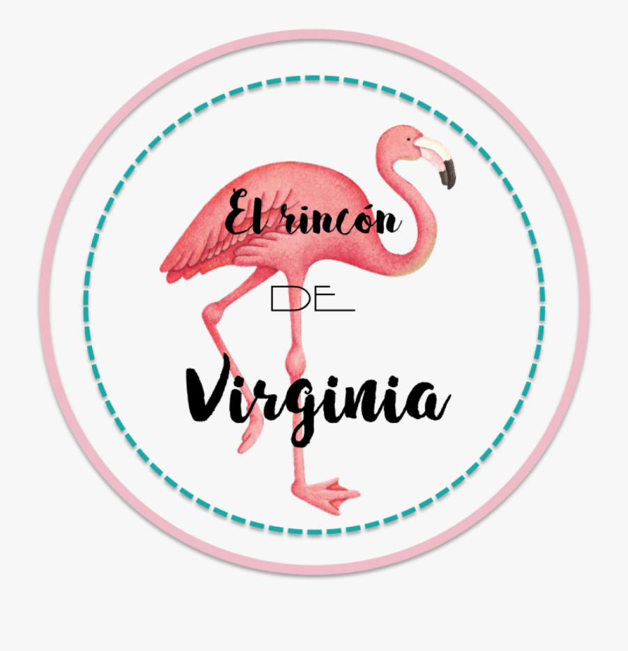 El Rincón De Virginia - Python Plot Trajectory Arrow, Transparent Clipart