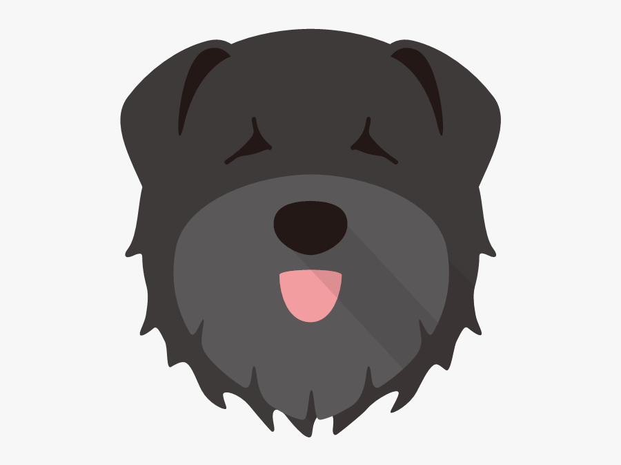 Bouvier Des Flandres, Transparent Clipart