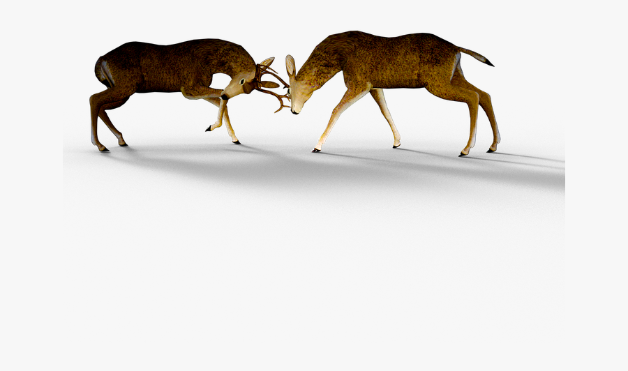 Transparent Fight Png - Conflict Management Techniques, Transparent Clipart