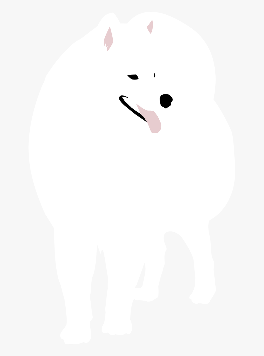 Samoyed Png, Transparent Clipart