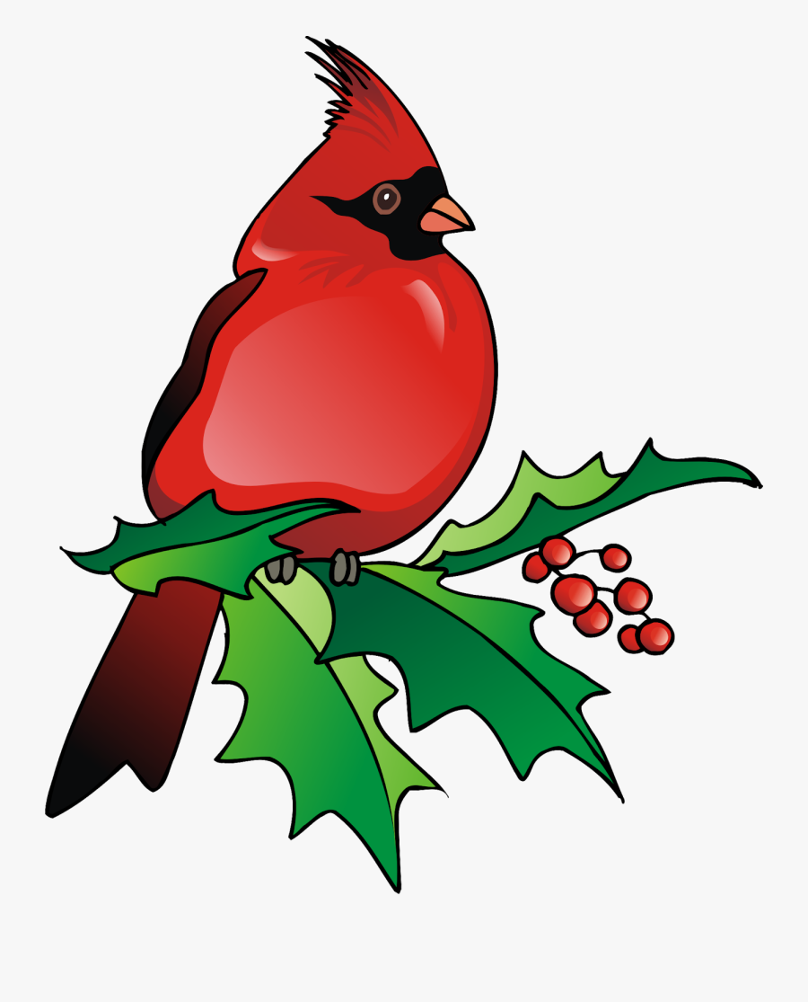 Northern Cardinal, Transparent Clipart