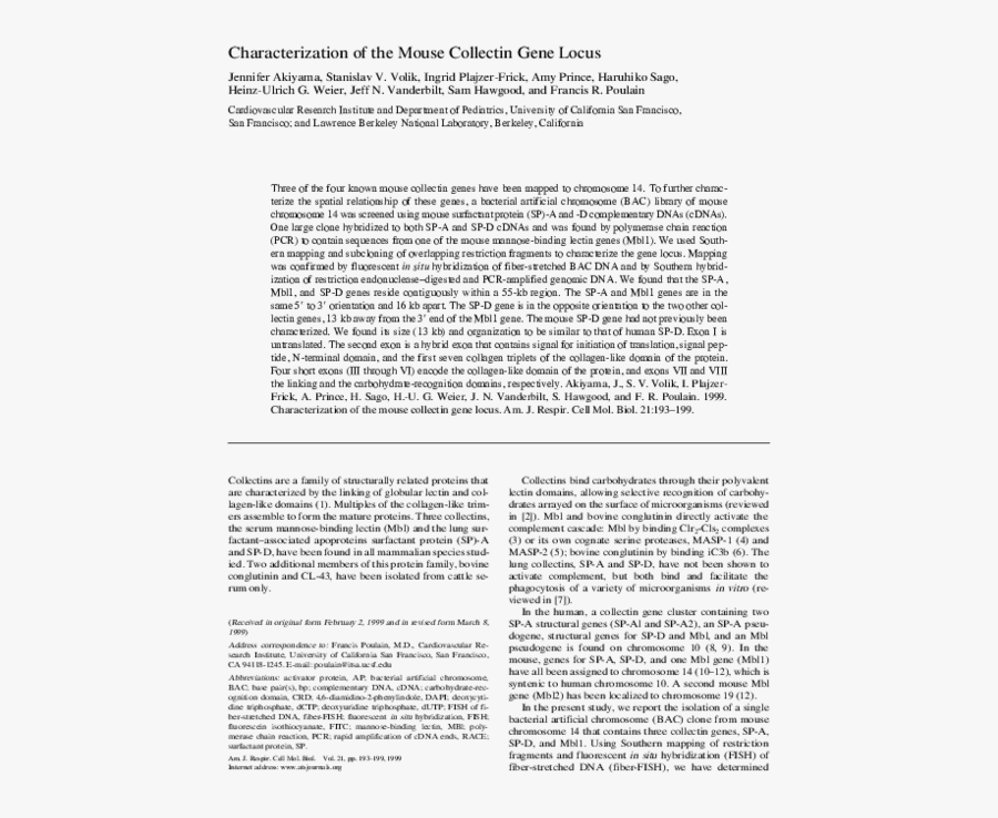 Kaxinawá, Transparent Clipart