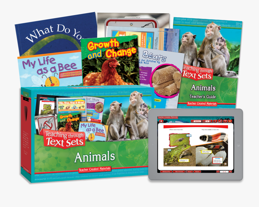 Clip Art Animals Kit - Turkey, Transparent Clipart