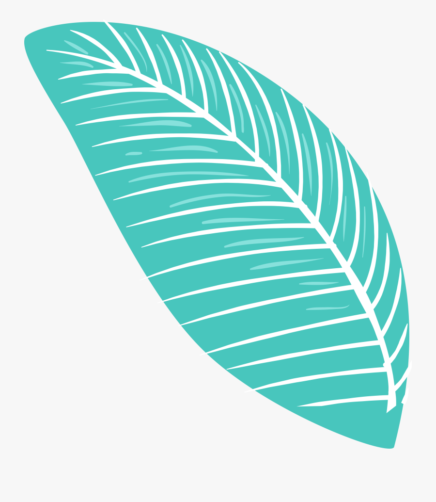 Portable Network Graphics, Transparent Clipart