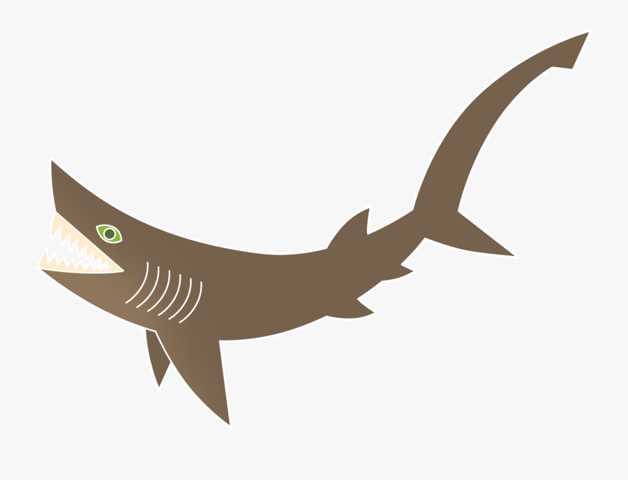 A Bluntnose Sixgill Shark, Hexanchus Griseus - Six Gilled Shark Drawing, Transparent Clipart