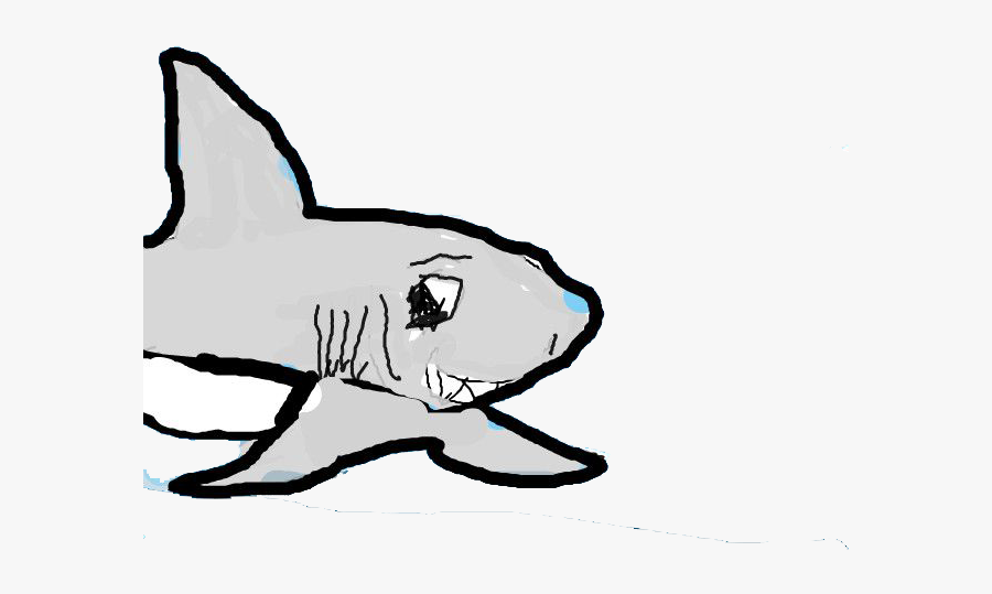 Shark Clipart Cat - Cat Fish, Transparent Clipart