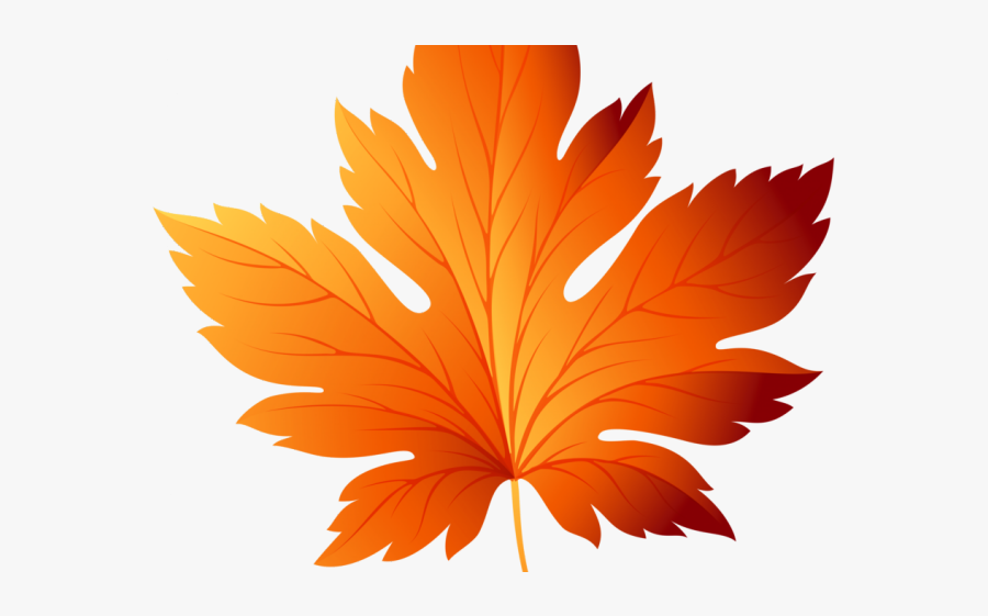 Leaves Clipart Orange Leaf - Vector Autumn Leaves Png, Transparent Clipart