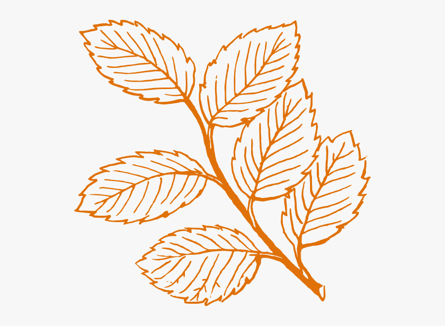 Leaves Clipart Black And White, Transparent Clipart