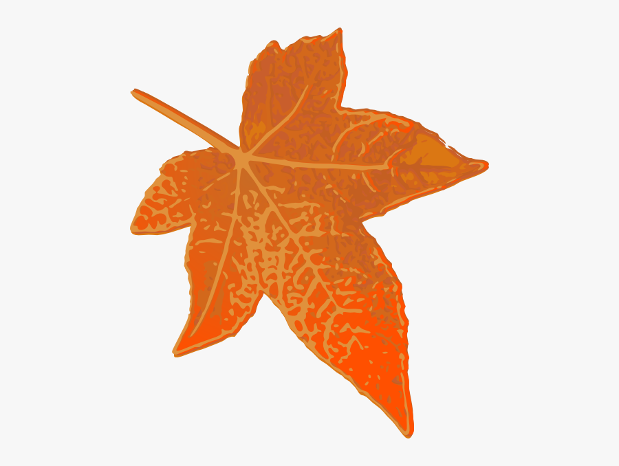 Maple Leaf, Transparent Clipart