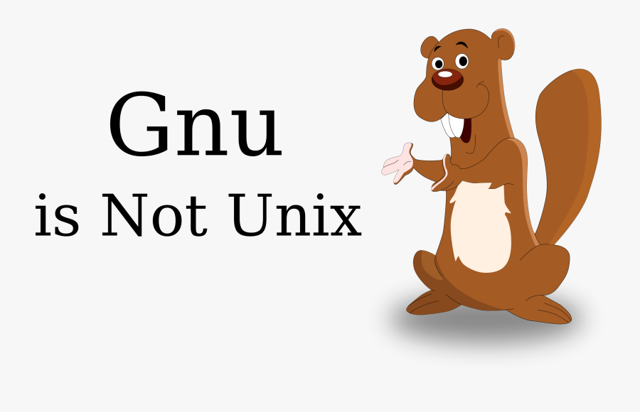 Beaver Cartoon, Transparent Clipart