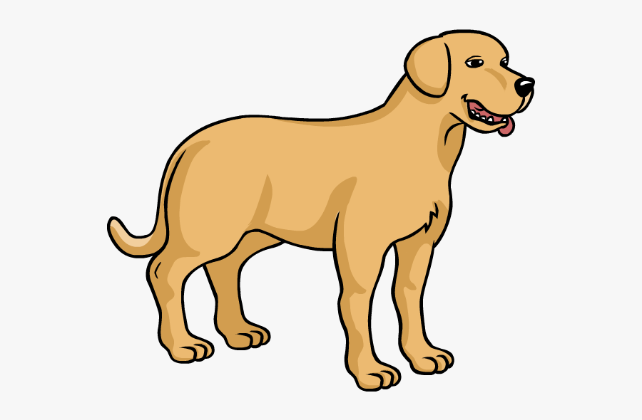 Dog Breed Puppy Labrador Retriever Como Dibujar - Perro Labrador Dibujo Animado, Transparent Clipart
