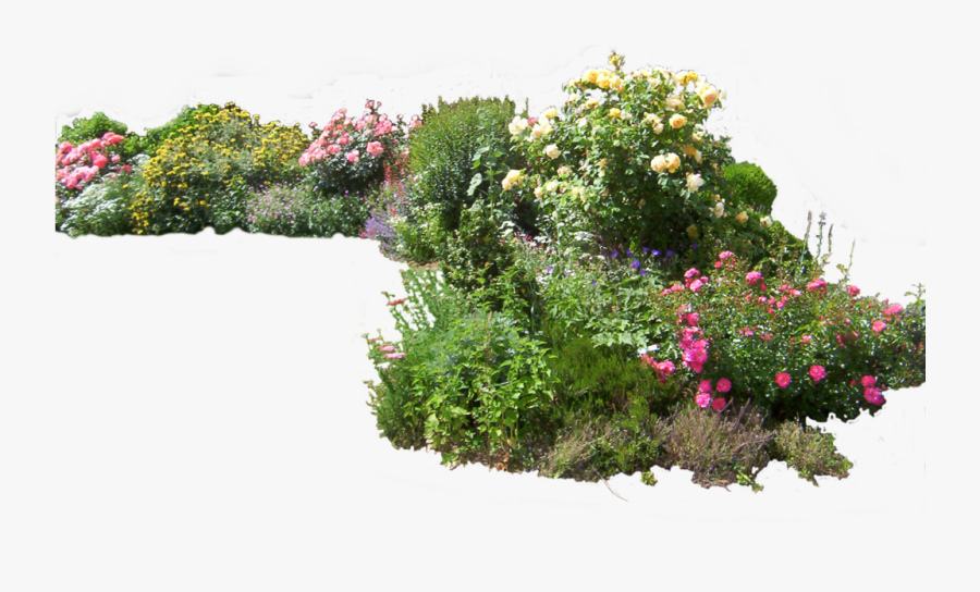 Transparent Background Flower Garden Png , Transparent - Garden Flowers ...