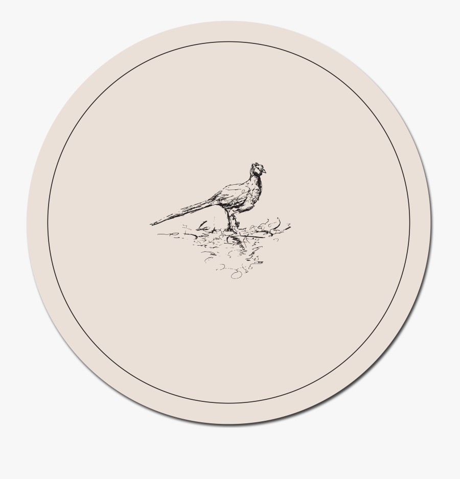 Rooster Oval Beak - Green Poster, Transparent Clipart