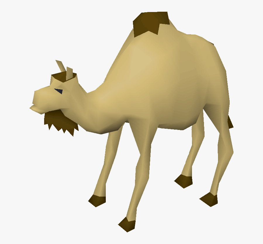 Image Cam The Png Old School Runescape - Old School Runescape Camel, Transparent Clipart