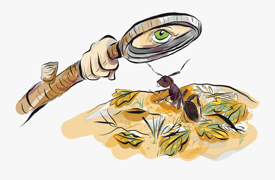 Stick-2 - Illustration, Transparent Clipart