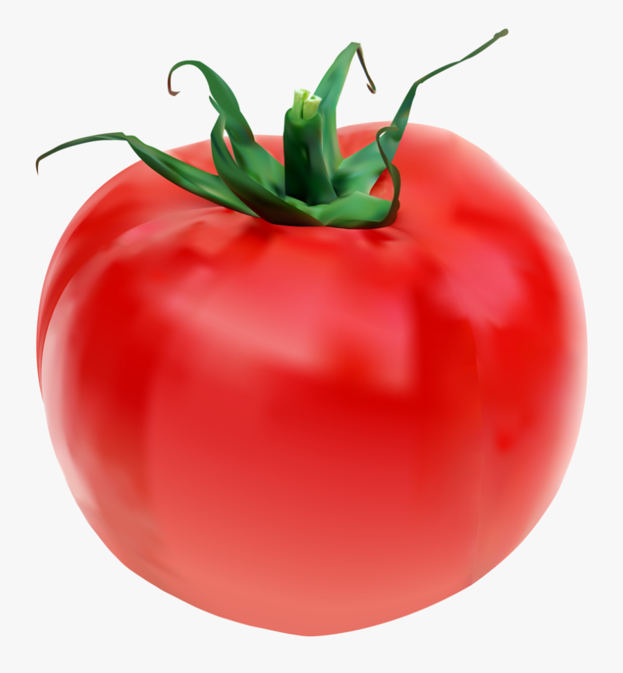 Collection Of Free Tomato Drawing Object Download On - Tomato, Transparent Clipart