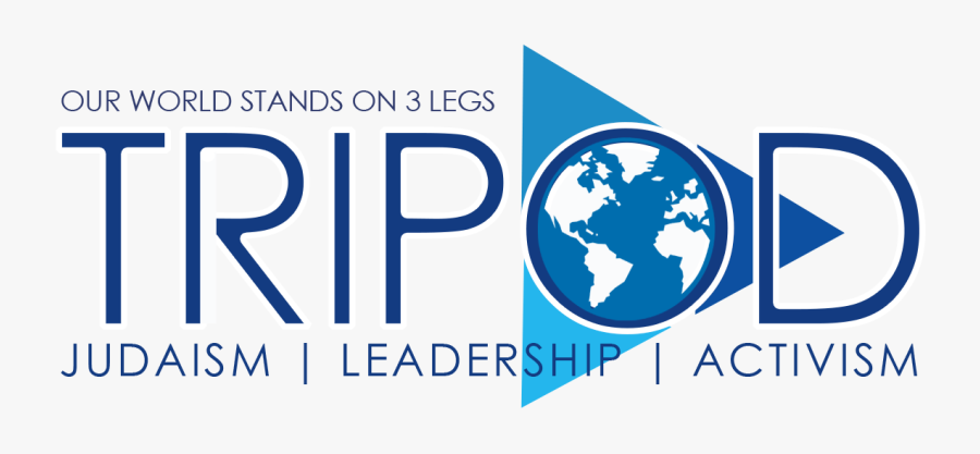 Graphic Design, Transparent Clipart