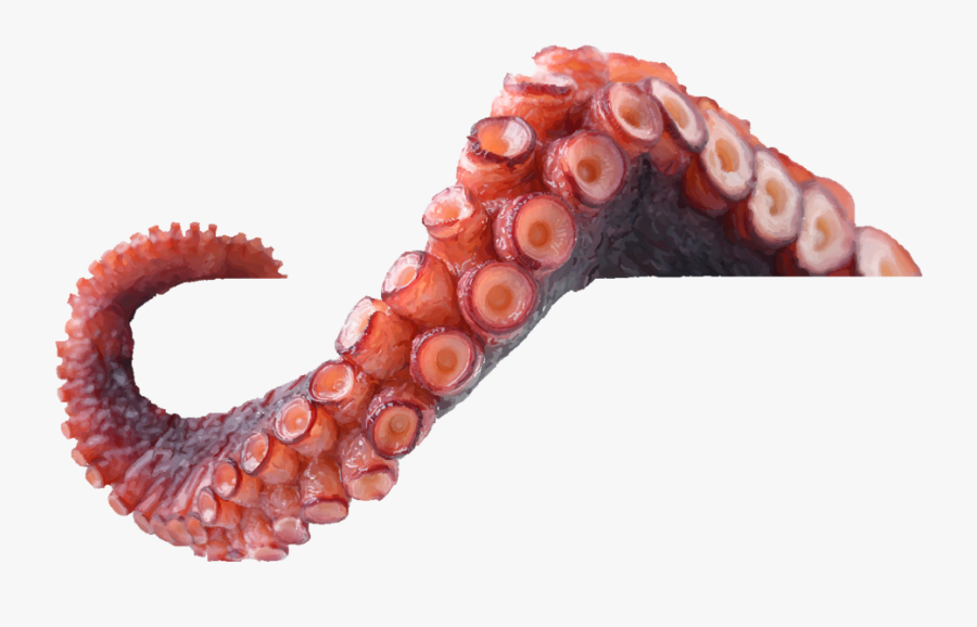 Octopus Tentacles Png, Transparent Clipart