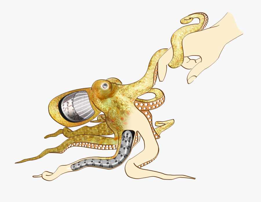 Clipart Octopus Arm - Cartoon, Transparent Clipart