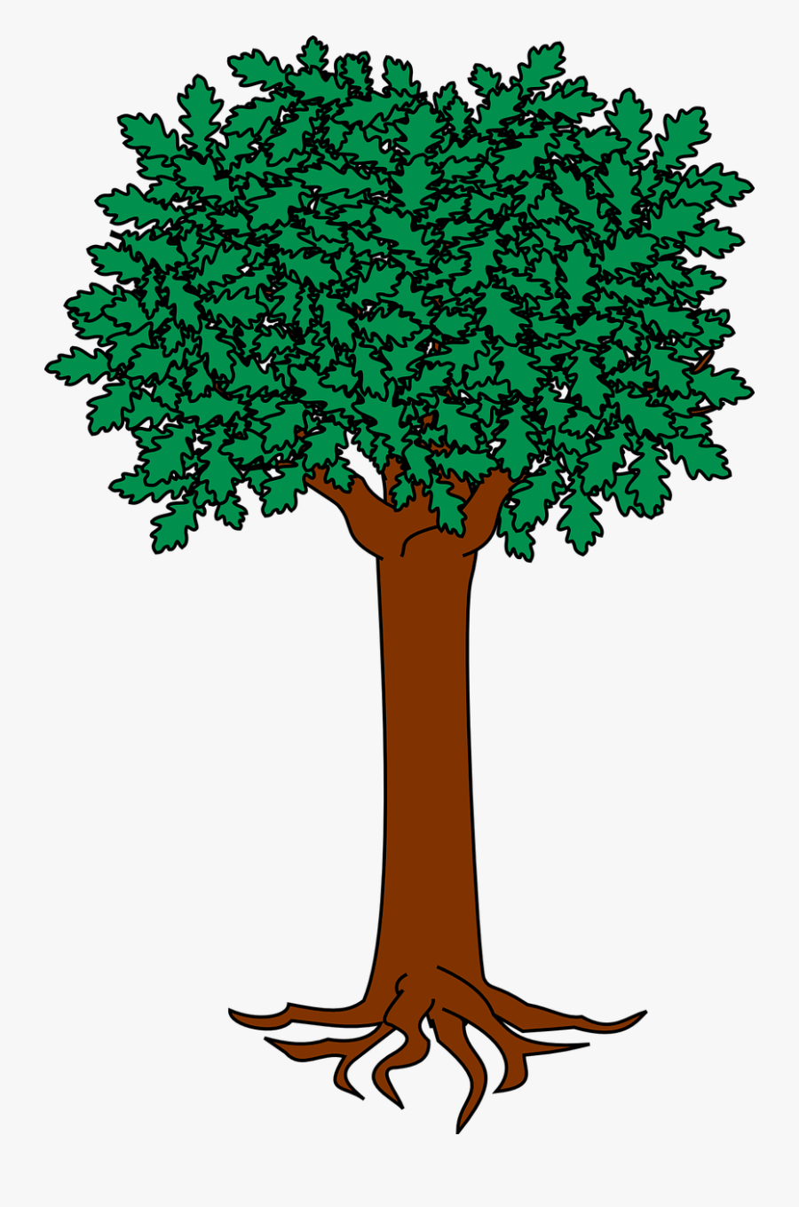 Escudo Del Apellido Vergara, Transparent Clipart