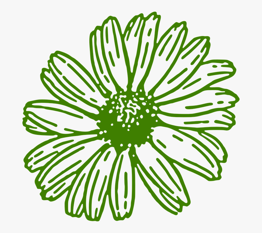 Gerbera, Daisy, Green, Flower - Gerber Daisies Clipart, Transparent Clipart