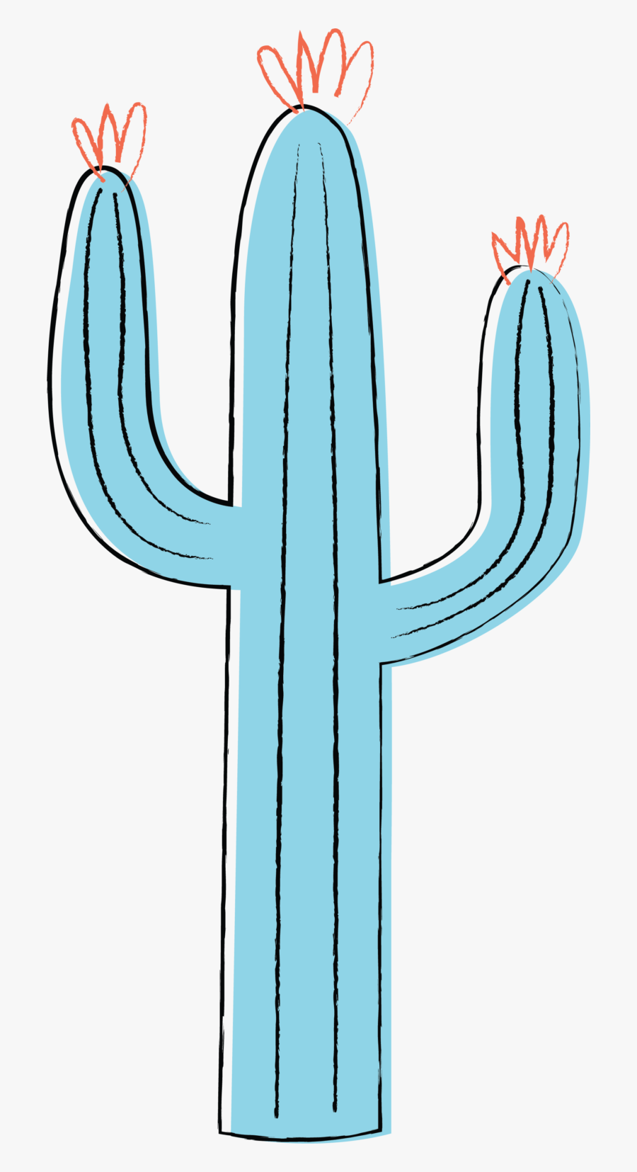 Cactus, Transparent Clipart