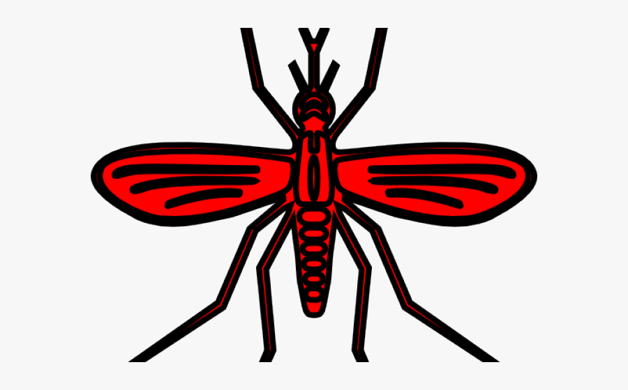 Net-winged Insects, Transparent Clipart