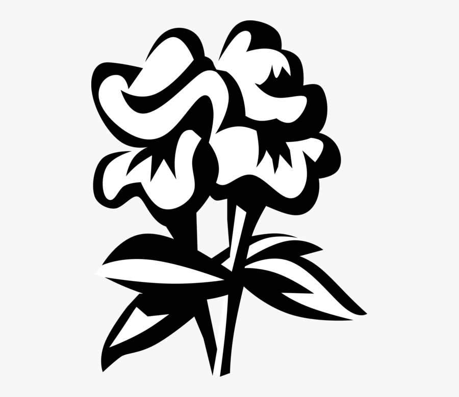 Snapdragons Drawing White Frames Illustrations Hd Images, Transparent Clipart