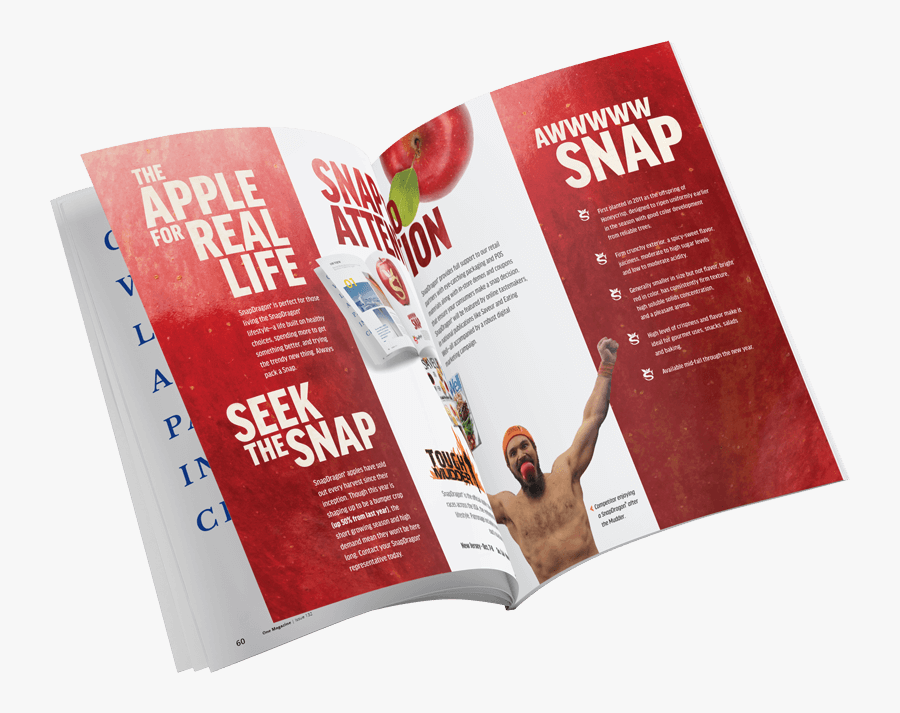 Flyer, Transparent Clipart