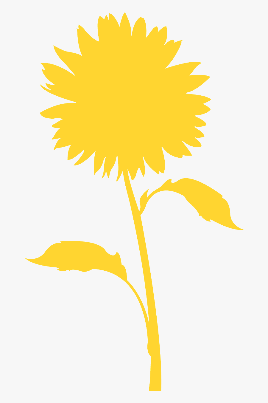 Sunflower, Transparent Clipart