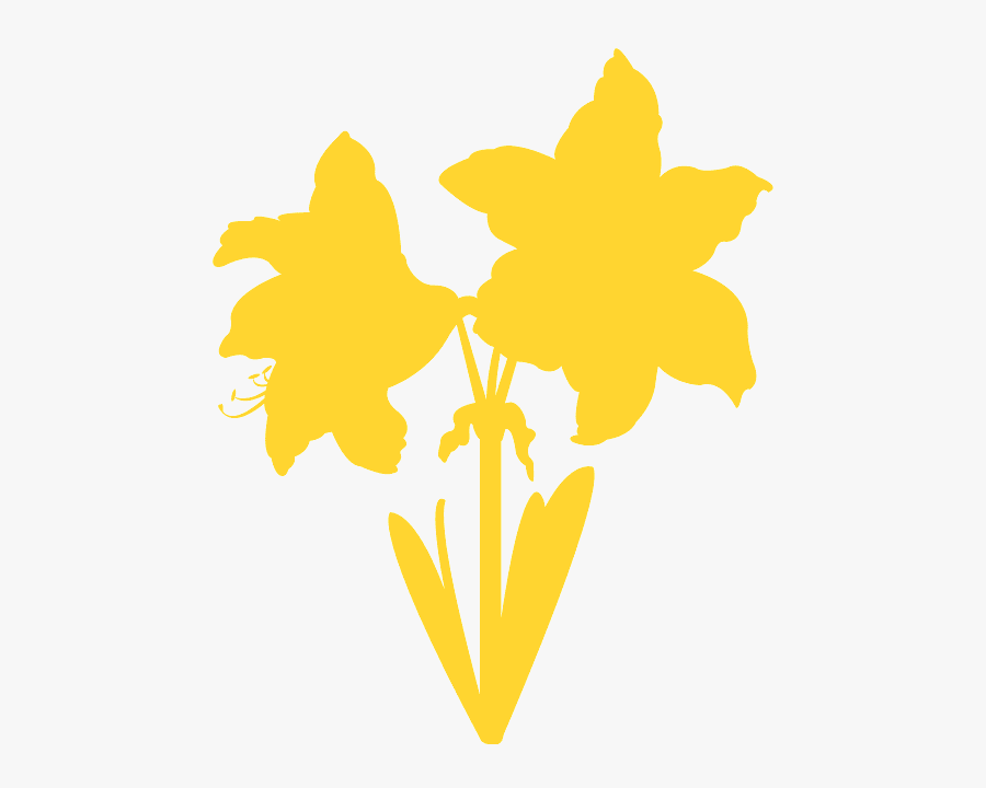 Emblem, Transparent Clipart