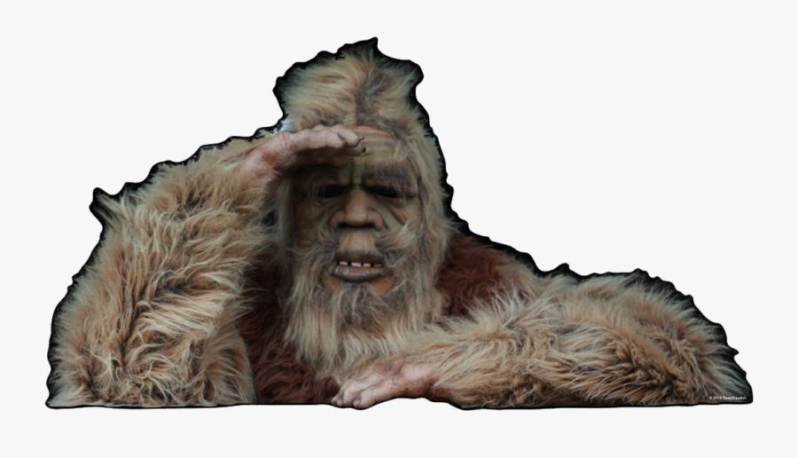 Punxsutawney Phil, Transparent Clipart