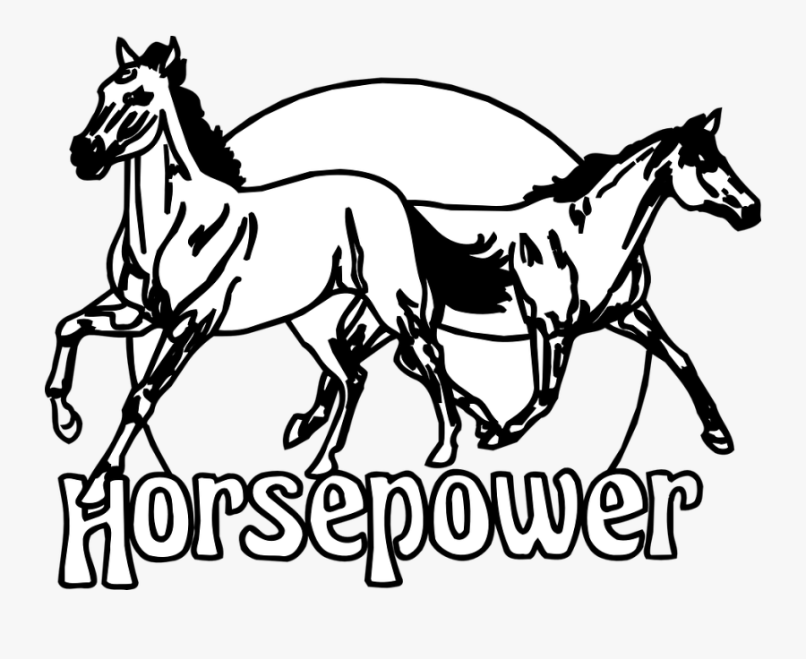 Horses, Horsepower, Animals, Running, Circle, Equine - Horsepower Clipart, Transparent Clipart