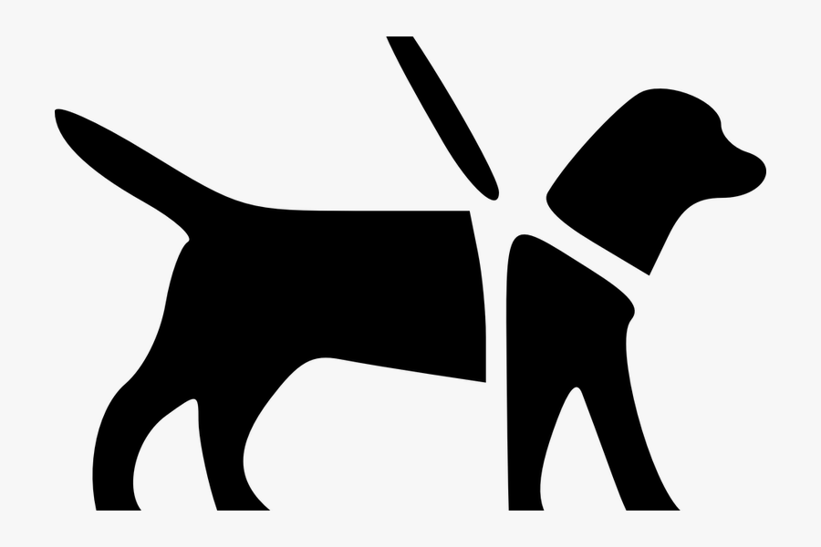 Cornish Businesses Asked To Welcome Guide Dogs - Blink Think Choice Voice, Transparent Clipart