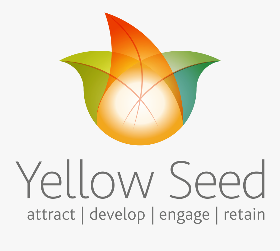 Graphic Design, Transparent Clipart