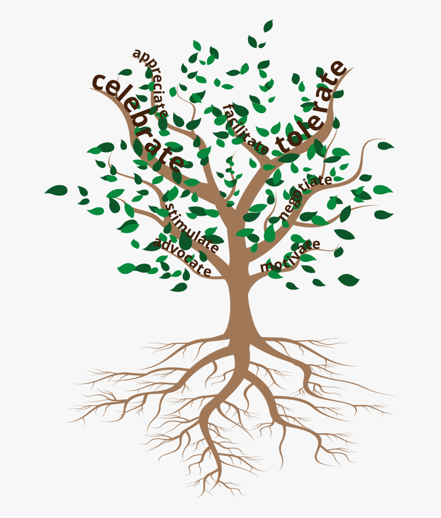 Arvore Com Raiz E Frutos, Transparent Clipart