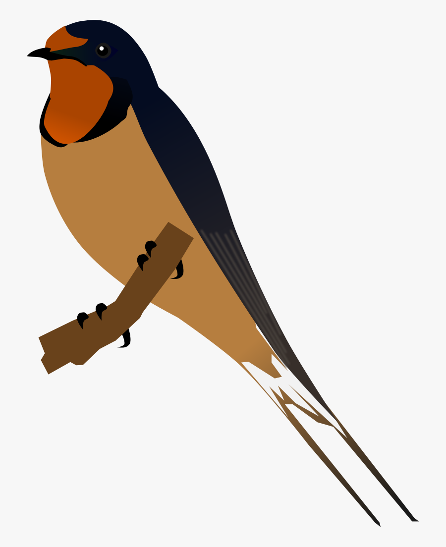 Barn Swallow Png Image - Barn Swallow Vector Free, Transparent Clipart