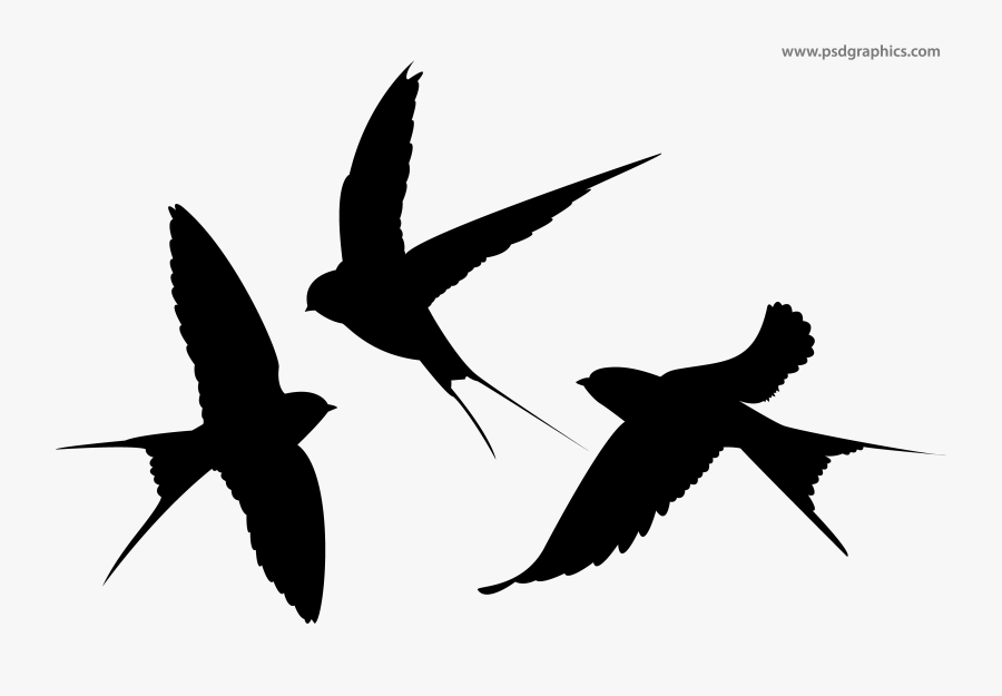 Swallows Png, Transparent Clipart