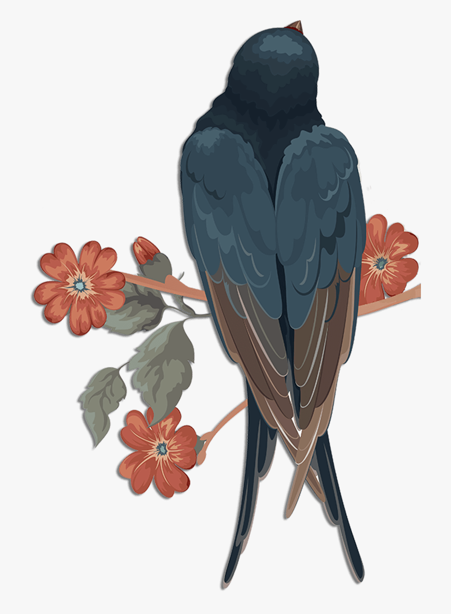 Transparent Swallow Clipart - Portable Network Graphics, Transparent Clipart
