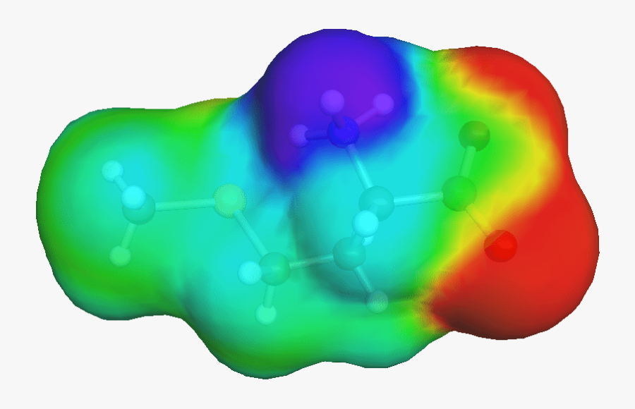 First Of All, I Am Not An Expert In Proteins Or Pharmacology,, Transparent Clipart