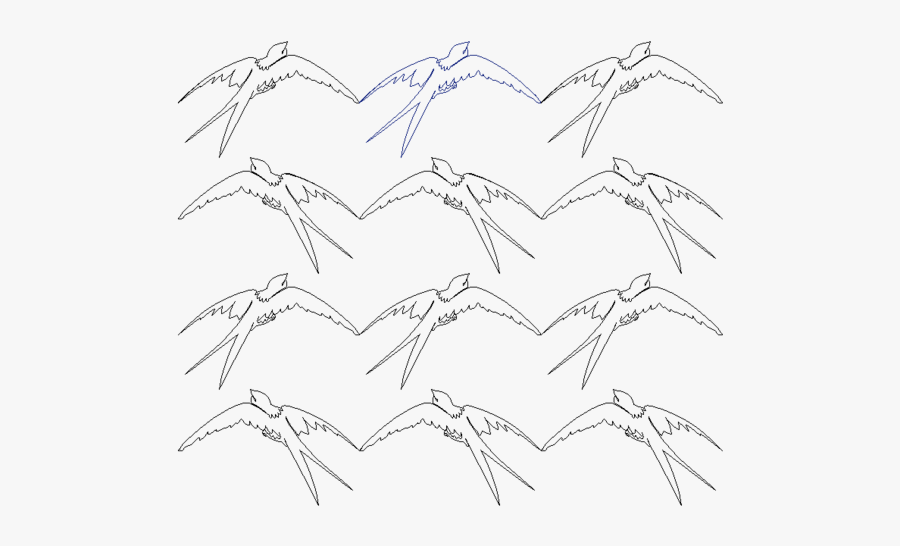 Swallow Drawing At Getdrawings - Sketch, Transparent Clipart