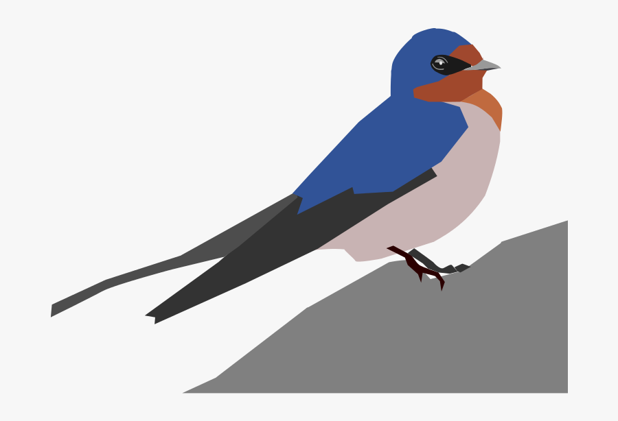 Swallow, Transparent Clipart