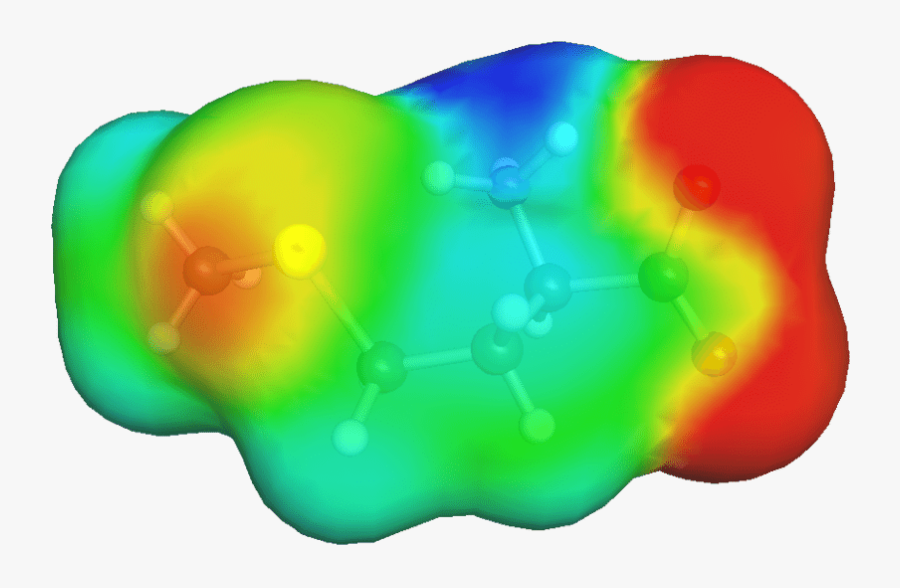 First Of All, I Am Not An Expert In Proteins Or Pharmacology, - Circle, Transparent Clipart